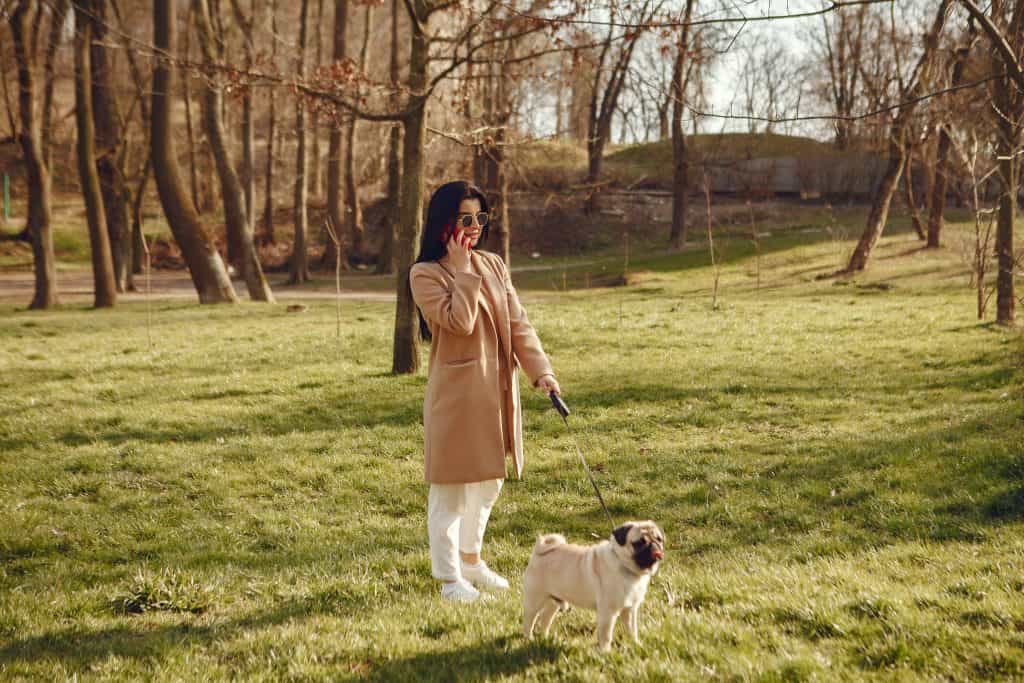 A girl walking her dog in the forest and speaking on the phone