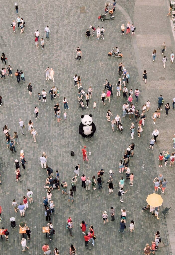 People gathered around a Panda mascot