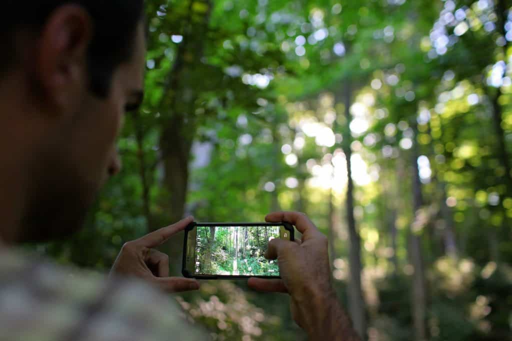 A man taking a picture of nature 